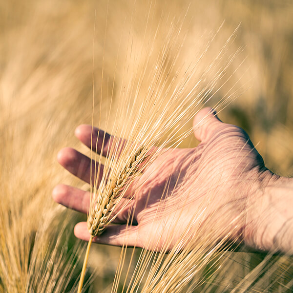 sitio-farmtrac